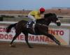 SEMINOLE CRY venciendo en Mijas (Foto: Dubai Millenium)